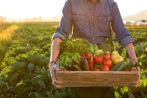 The Farmer Online Grocery Delivery In Mumbai | WhatsHot Mumbai