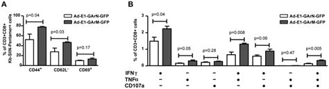 The Differential Translation Of EBNA1 MRNAs Impacts On The Activation