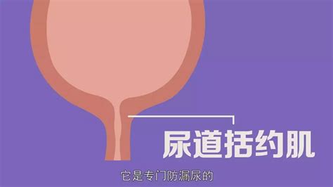 女生憋尿到极限会快感？你的膀胱不会痛吗？ 搜狐