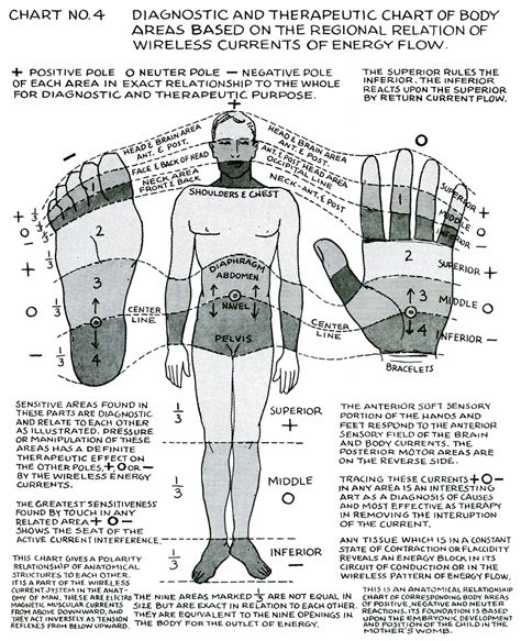 Polarity Therapy Volume 1 Book 2 Chart 04 Polarity Therapy