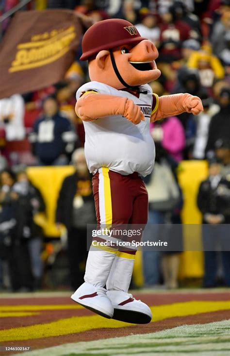 The Commanders Hog Mascot Major Tuddy Performs During The Dallas