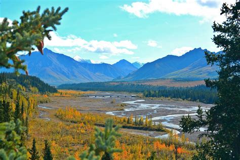 Photos To Inspire You To Visit Denali National Park Tips