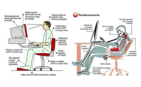 Cómo Elegir Una Silla Ergonómica Características Blog Ofiprix