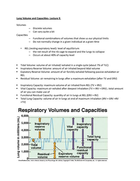 Lung Volume And Capacities Studocu