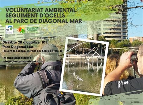 Vols Fer Voluntariat Ambiental A Barcelona Voluntariat Ambiental