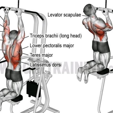 Assisted Close Grip Chin Up Exercise How To Workout Trainer By Skimble