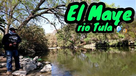 El Maye Pescando En El Rio Tula Youtube