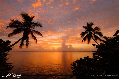 Sunrise Jensen Beach Florida Indian Riverside Park Coconut Tree Hdr