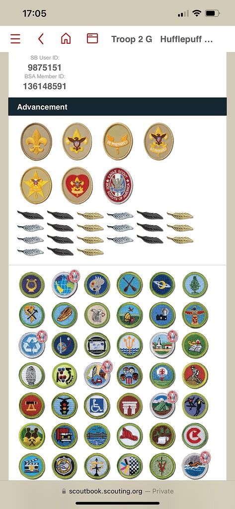 Merit badge and Eagle palms suddenly not showing completion - Scoutbook ...