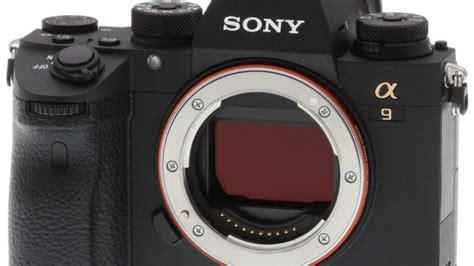 Sony a9 Wildlife Photography Settings - TechnoWifi