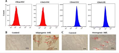 Figure 1 from TGFβ1 Pretreated Exosomes of Wharton Jelly Mesenchymal