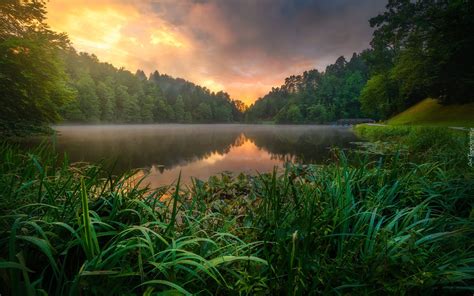 Drzewa i rośliny nad chorwackim jeziorem Trakoscan