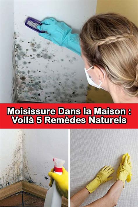 De La Moisissure Dans La Maison Voil Rem Des Naturels Pour L