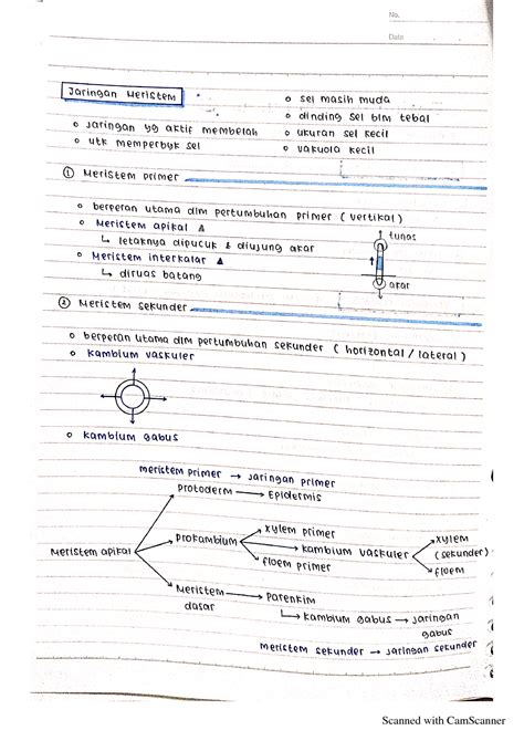 Solution Jaringan Tumbuhan Studypool