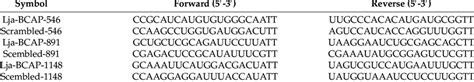 The Sirna Sequences Used In This Study Download Scientific Diagram