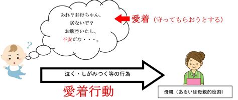 オズ、愛着って何？（その1） スタッフブログ