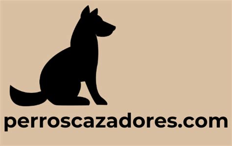 Las Mejores Razas De Perros Cobradores Perroscazadores