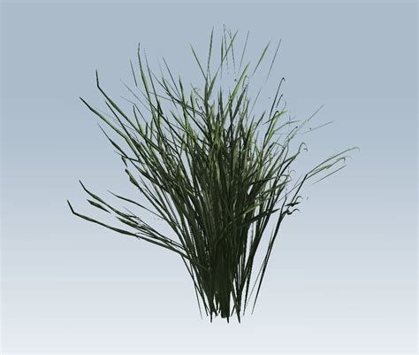 3d Model Grass Vr Ar Low Poly Cgtrader