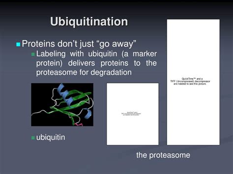 PPT Chemistry Based Functional Proteomics Reveals Novel Members Of