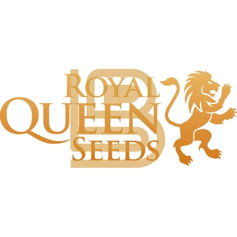 3 Fem Seeds White Widow Bbseeds