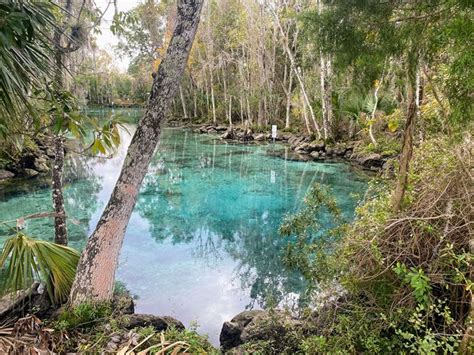 Three sisters springs florida – Artofit