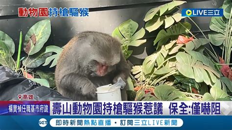 獼猴搶食 保全拿空氣槍驅離 遊客看法兩極 持槍驅猴惹議 壽山動物園 緊急情況嚇阻用｜記者 徐士庭 吳繢杉｜【live大現場