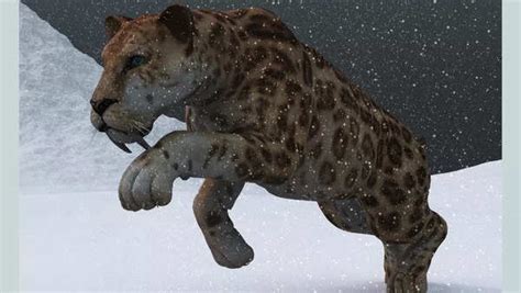 Scientists Discover Perfectly Preserved Saber Toothed Cat From The Ice