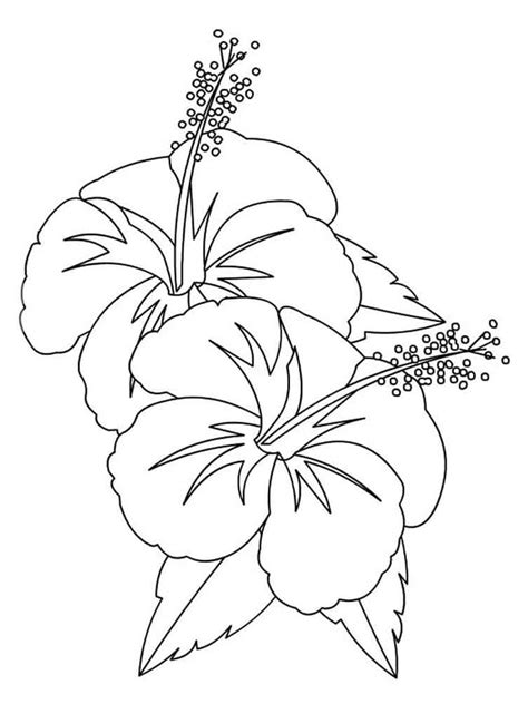 Dibujos De Hibiscos Para Colorear Y Imprimir Free Coloring Pages Porn