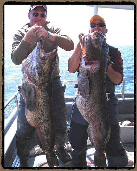 Homer Alaska Fishing Charter- Alaska Fishing Boat Charter