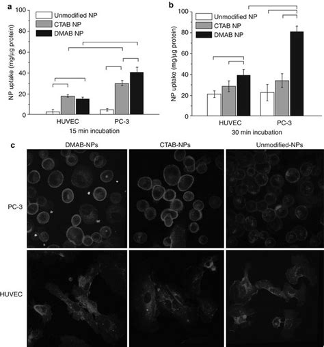 Nanoparticles Cellular Uptake And Cytotoxicity Springerlink