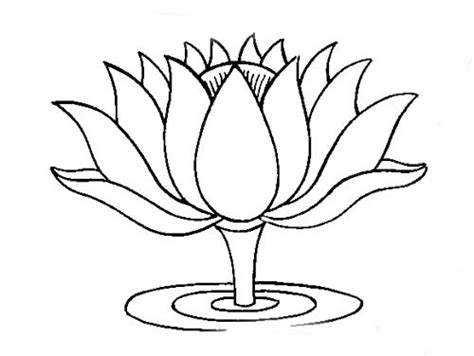 Lotus Flower Pencil Drawing at GetDrawings | Free download