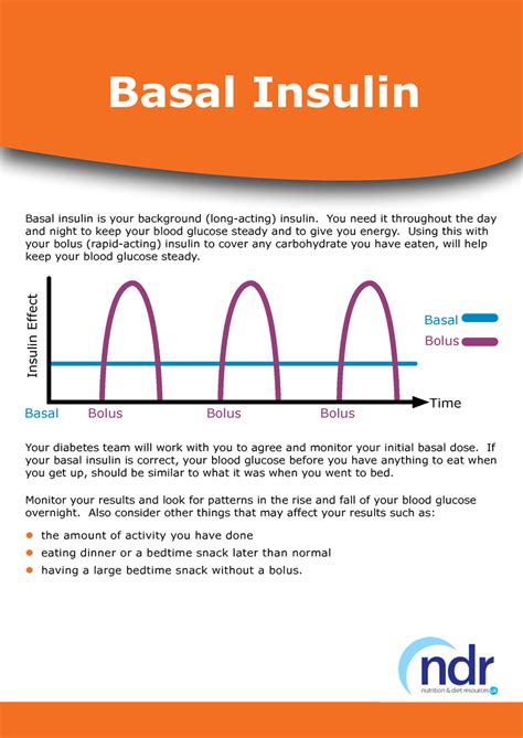 Basal Insulin