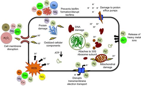 Probable Nanomaterials Based Bactericidal Effects Nanomaterials
