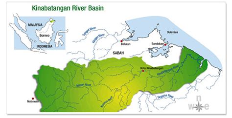 Discover the Kinabatangan River wildlife at The Last Frontier