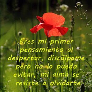 Eres Mi Primer Pensamiento Al Despertar