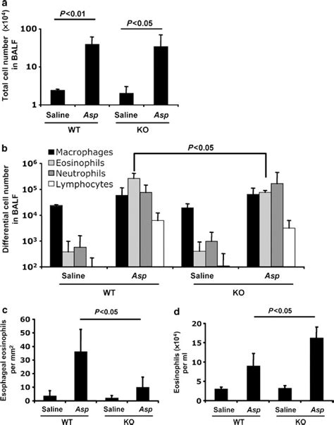 Periostin Facilitates Eosinophil Tissue Infiltration In Allergic Lung