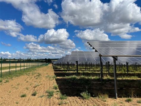 Murphy Spitz Agri PV Anlage Mit 13 MW In Betrieb Solarserver