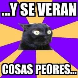 Meme Anxiety Cat Y Se Veran Cosas Peores