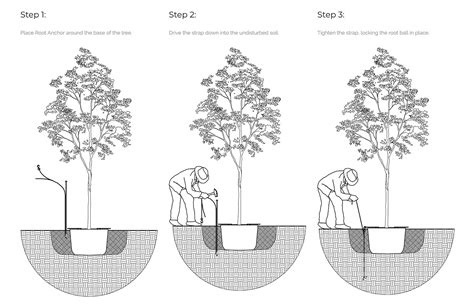 Tree Stake Solutions Root Anchor™ Landscape Architect