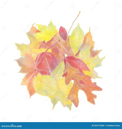 Watercolor Image Of Colorful Autumn Leaves Isolated On White Stock