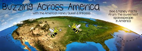 Buzzing Across America State Beekeeping Facts