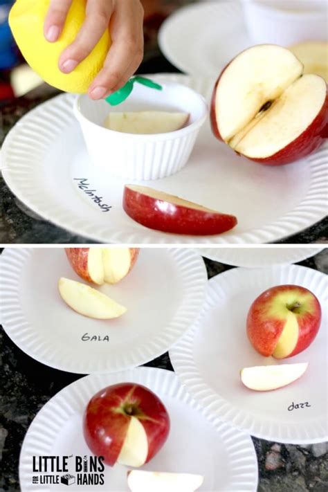 Apple Science Lemon Juice Experiment For Fall Stem