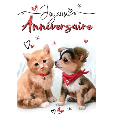 Carte Anniversaire Animaux Rodrigues Sa