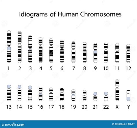 Chromosome Map