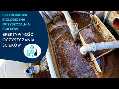 Jak działa przydomowa biologiczna oczyszczalnia ścieków efektywność