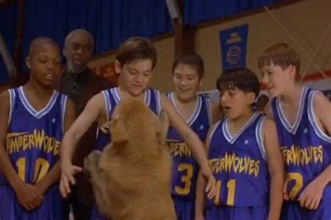 The font from the Air Bud basketball jerseys? : identifythisfont