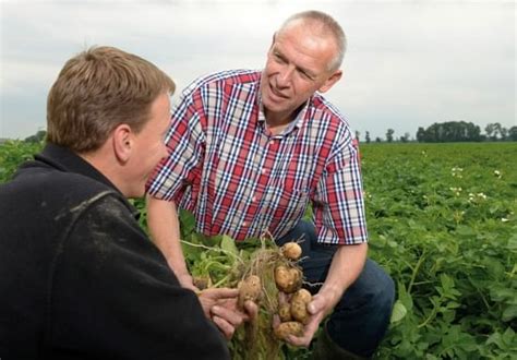 Bayer Cropscience And Farm Frites Jointly Implement Sustainable