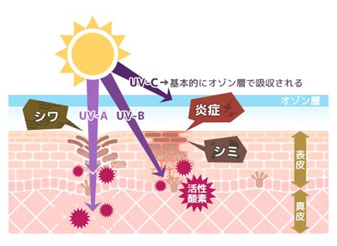 日焼け後のケアはこれ！うっかり焼けのアフターケア法 キューサイ【公式】通販サイト