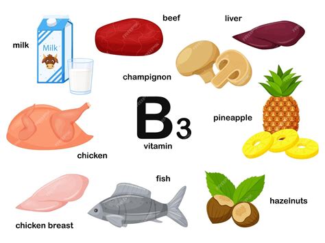 Прямоугольный плакат с пищевыми продуктами, содержащими витамин b3 ...