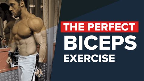 Bayesian Curls The Best Biceps Builder